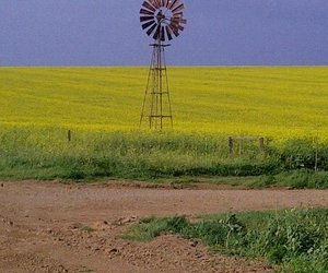 It's About the Journey 